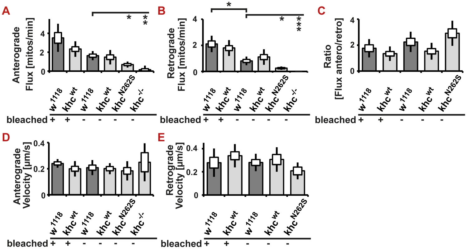 <i>In vivo</i> analysis of axonal transport in non-bleached nerves.