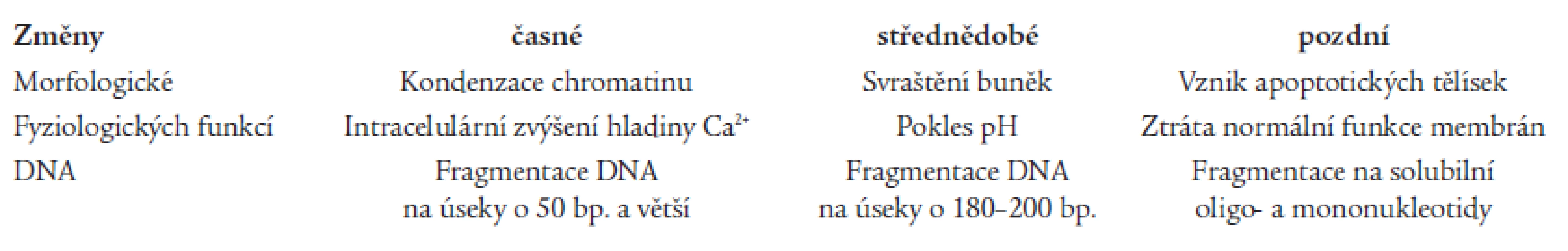 Časové rozdělení změn během apoptózy.