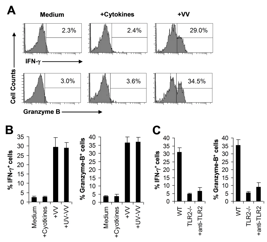 VV activates NK cells directly via TLR2 in vitro.