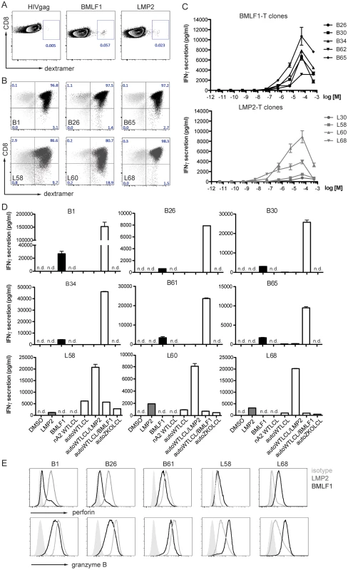 CD8<sup>+</sup> T cell clones of lytic (BMLF1) and latent (LMP2) specificity were established by single cell sorting.