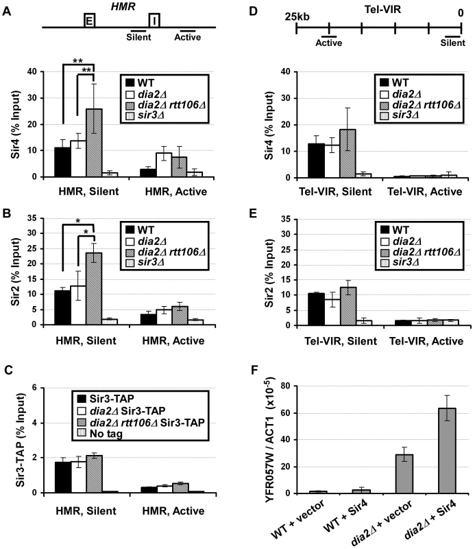 Sir protein binding at the <i>HMR</i> locus is altered in <i>dia2Δ rtt106</i>