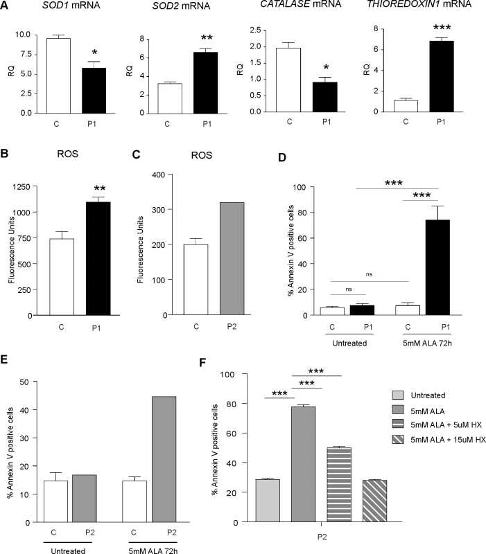 FLVCR1 mutations induce oxidative stress and increase the sensitivity to programmed cell death in patient-derived cells.