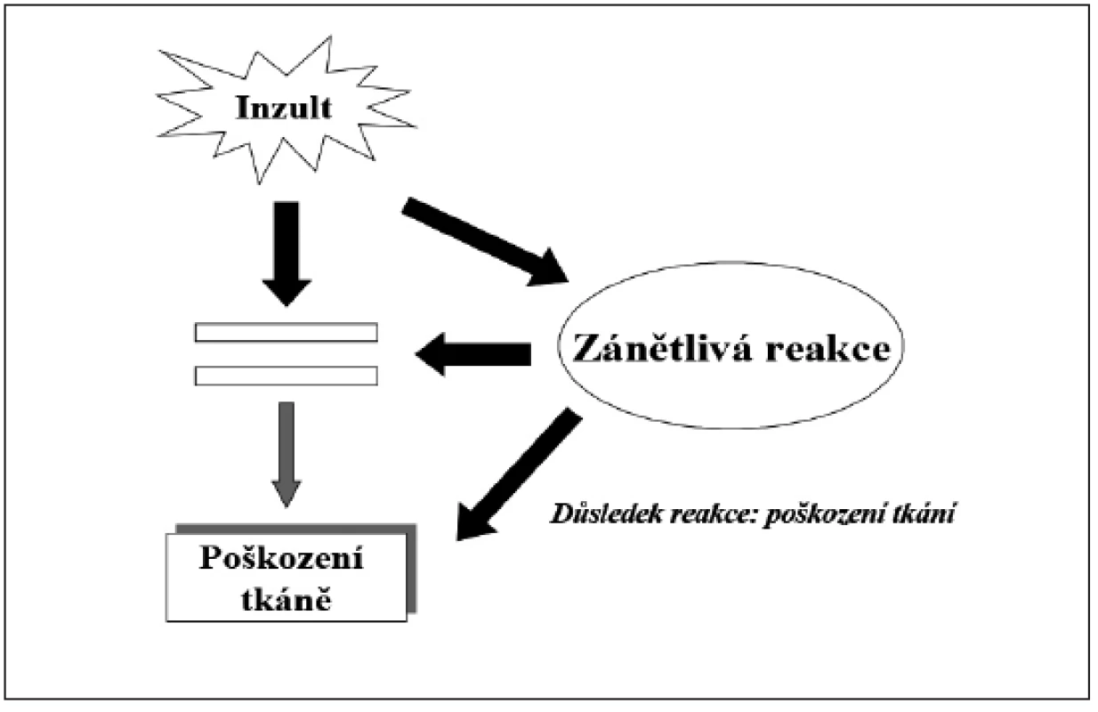 Nadměrná intenzita zánětové reakce