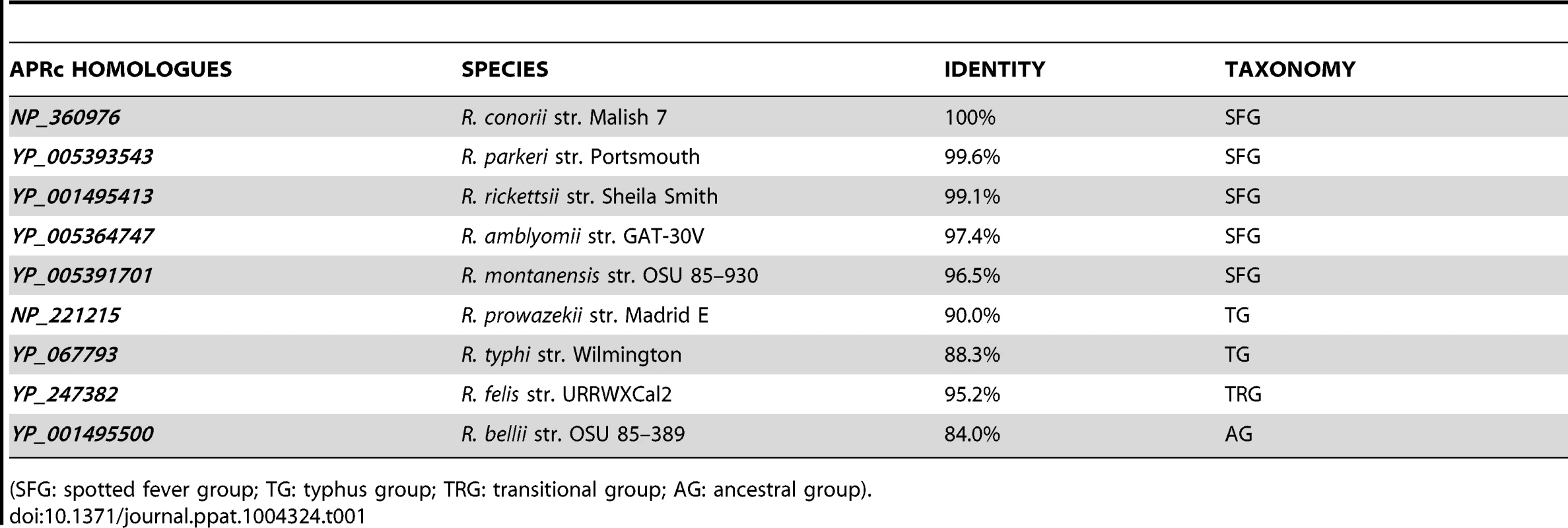Protein sequence identity of each APRc homologue in relation to NP_360976 as well as the taxonomic group of analyzed rickettsial spp.