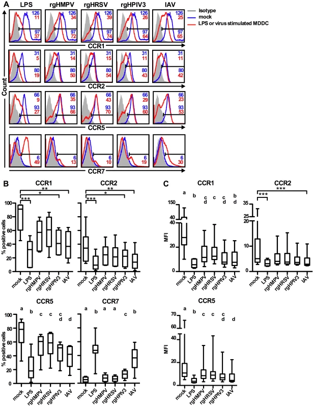 Cell surface expression of the chemokine receptors CCR1, 2, 5 and 7.