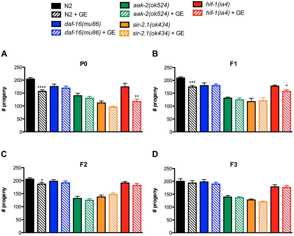 Heritable diminution of progeny from glucose exposure in the parental generation.