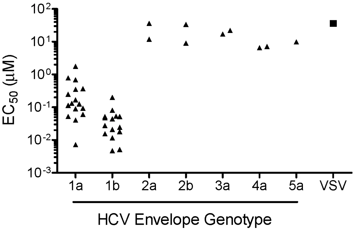 HCV genotype coverage of EI-1.
