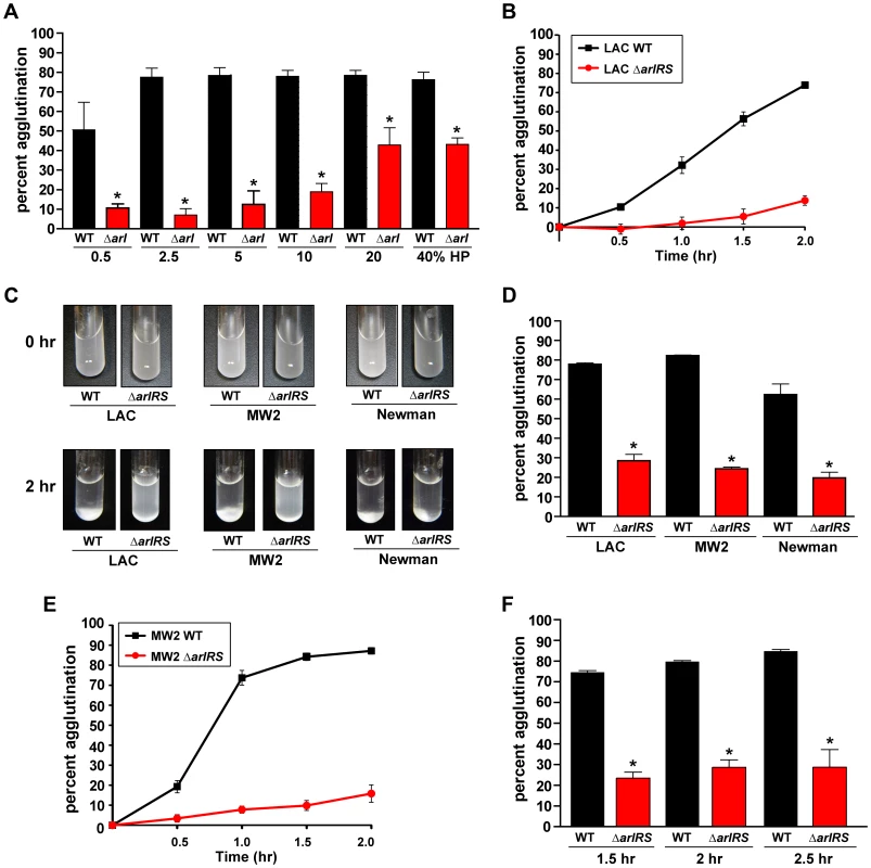 Agglutination of <i>S. aureus</i> is induced by human plasma and dependent on ArlRS.