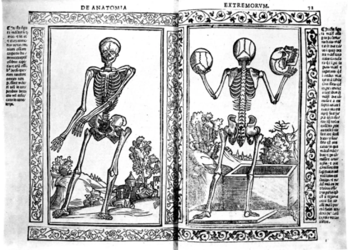 Jacobus Berengarius: Isagogae breves