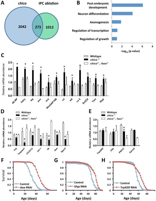 ChIP-Seq to identify dFOXO direct target genes and lifespan screen for 23 selected candidates.