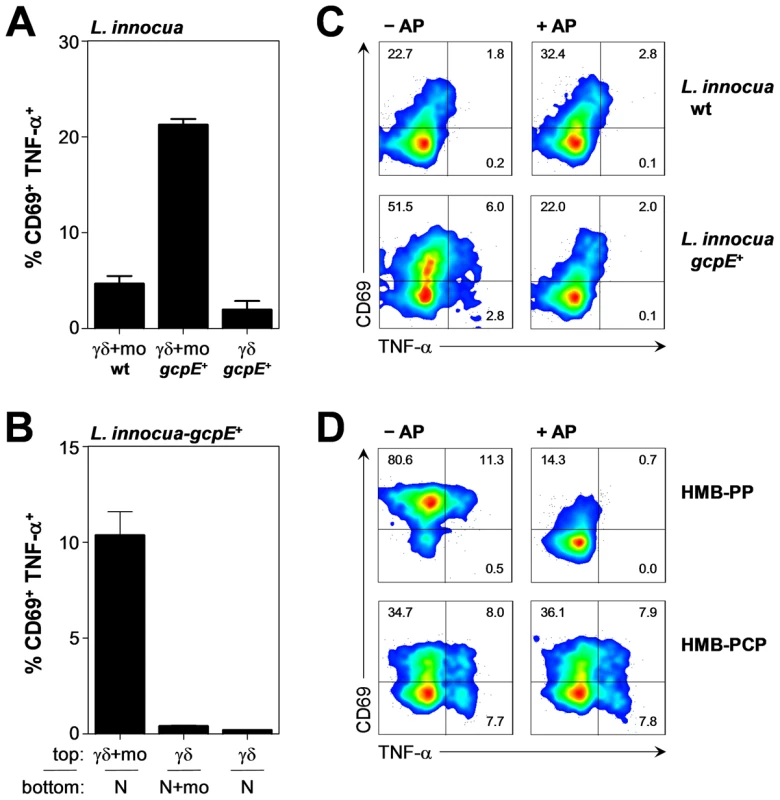 Vγ9/Vδ2 T cells respond, in a monocyte-dependent manner, to phosphatase-sensitive molecules released from phagocytosed bacteria.