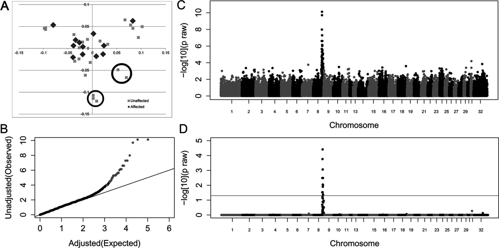 Genome-wide case-control allelic association study results of Connemara ponies with HWSD (15 cases, 24 controls).