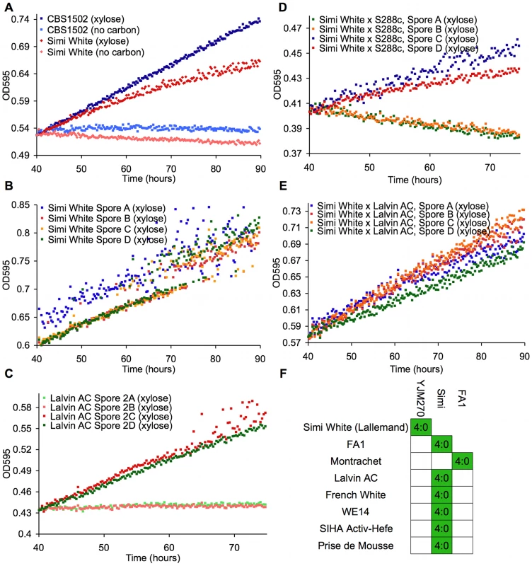 Wine strains display a xylose-utilization phenotype controlled by a single gene.