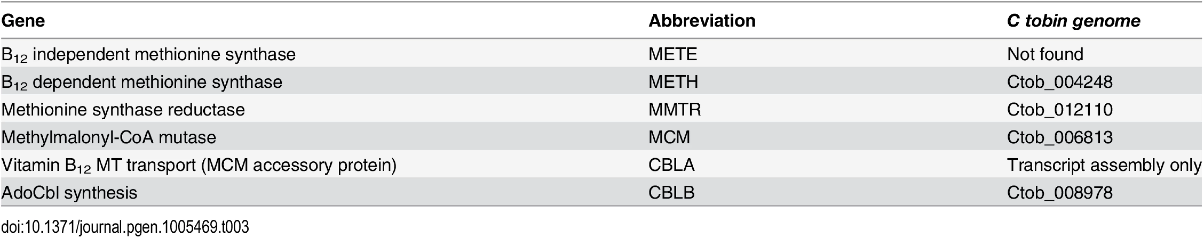 Vitamin B<sub>12</sub> related genes identified in the <i>Chrysochromulina tobin</i> genome.