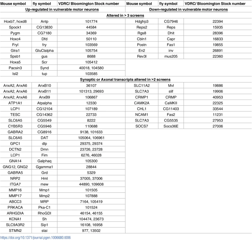 Mouse genes and their Drosophila homologue which were tested in the DVAPP-P58S Drosophila screen.
