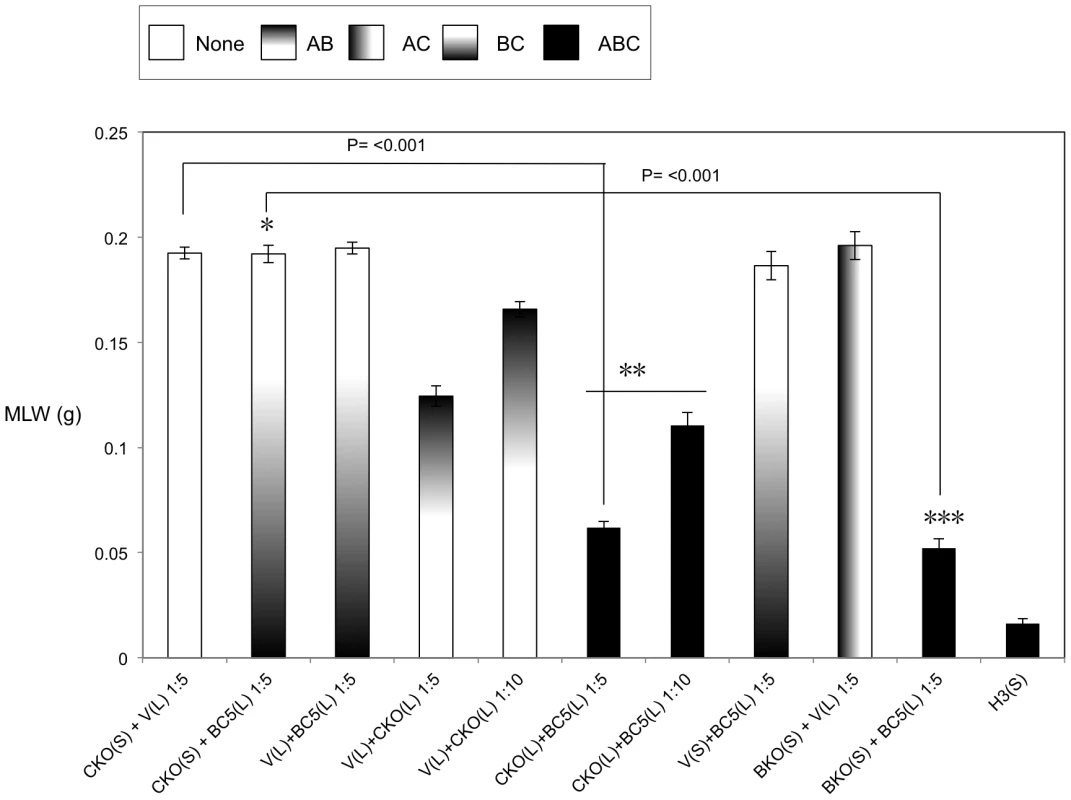 Cosmid complementation bioassay showing the A-subunit secretion but not synthesis is dependent upon the C-subunit.