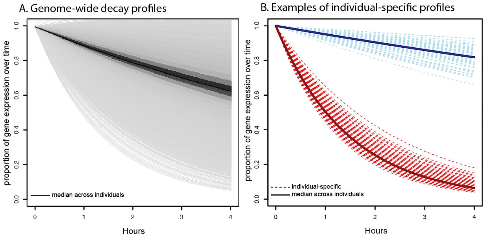 Profiles of decay rates.