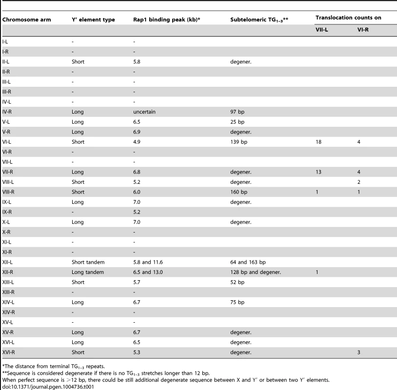 Summary of the distribution of Y′ elements among chromosome ends, subtelomeric Rap1 binding (ChIP-on-chip), and Y′ translocation frequencies.