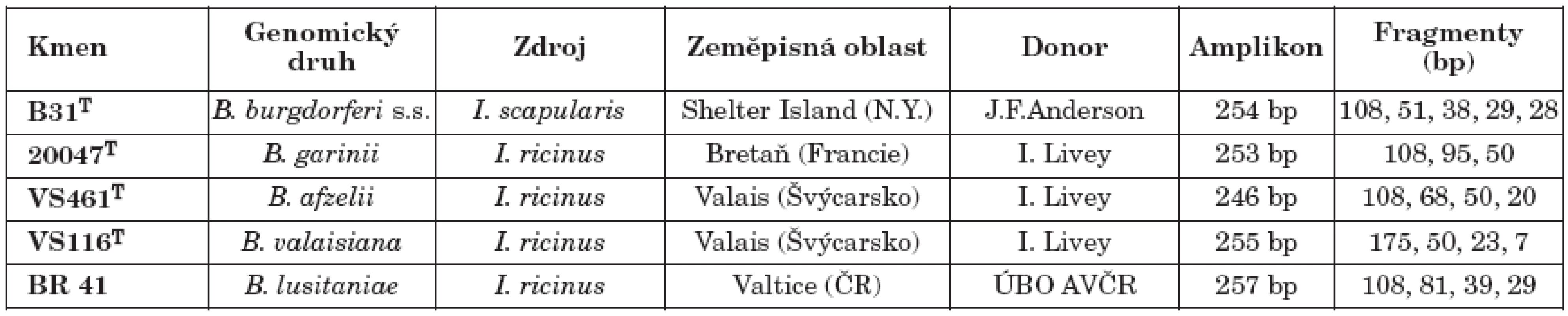 Přehled použitých kontrolních kmenů borrelií s označením fragmentů vzniklých po restrikčním štěpení PCR produktu rrf (5S)–rrl (23S) [25]
Table 1. Control strains of 5 Borrelia species and lengths of restriction fragments of rrf (5S)–rrl (23S) intergenic amplicons [25]