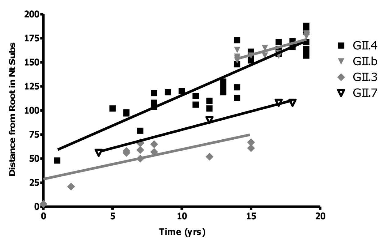 Rate of evolution for the GII.4, GII.7, GII.b/GII.3 and GII.3 strains.