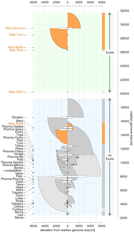 Distribution of positive-sense single-stranded RNA virus genome sizes.