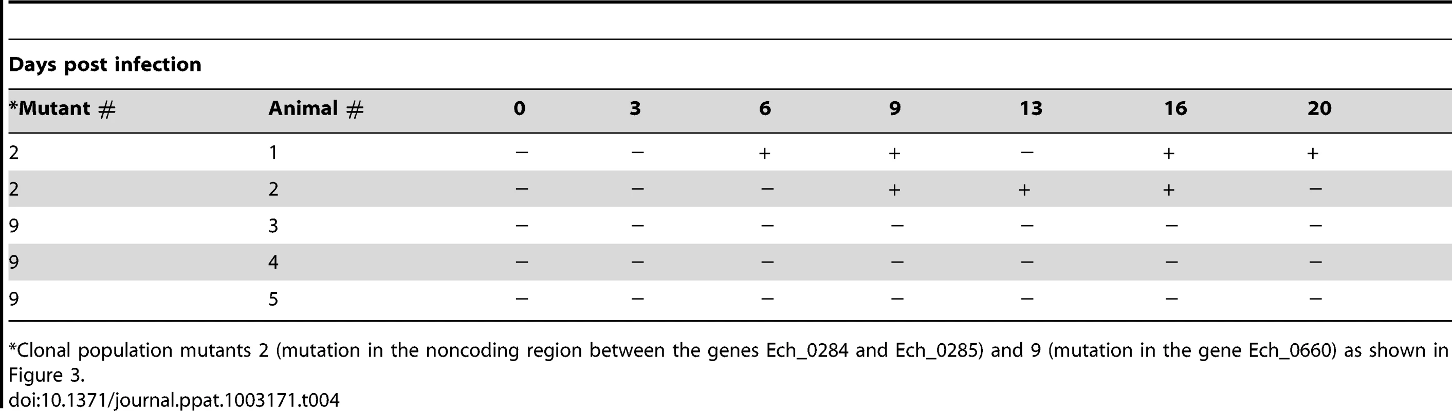 Nested PCR verification of the <i>E. chaffeensis</i> infection with clonal population mutants in deer blood.