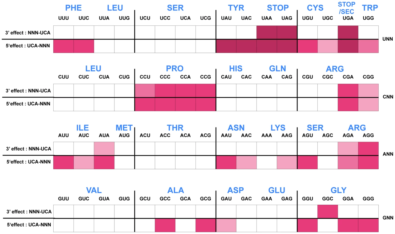 Histidine operon expression phenotypes of UCA-NNN and NNN-UCA substitutions at His4-His5 of the His leader peptide.