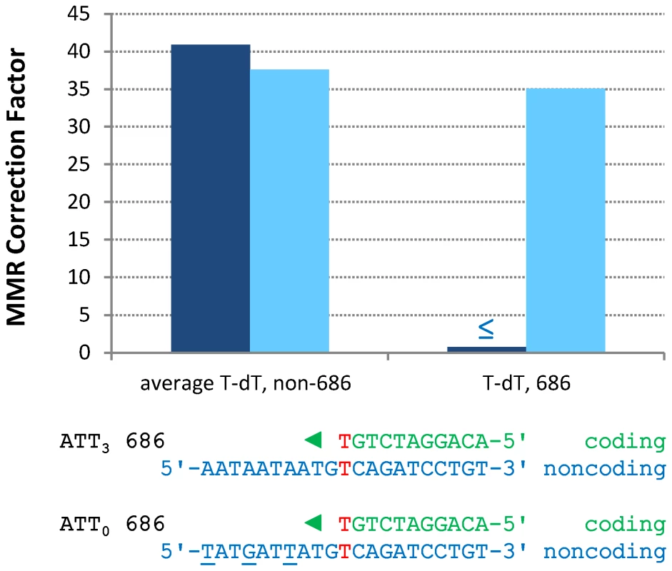 Restoration of T-dT repair at position 686 by removing a flanking triplet repeat.