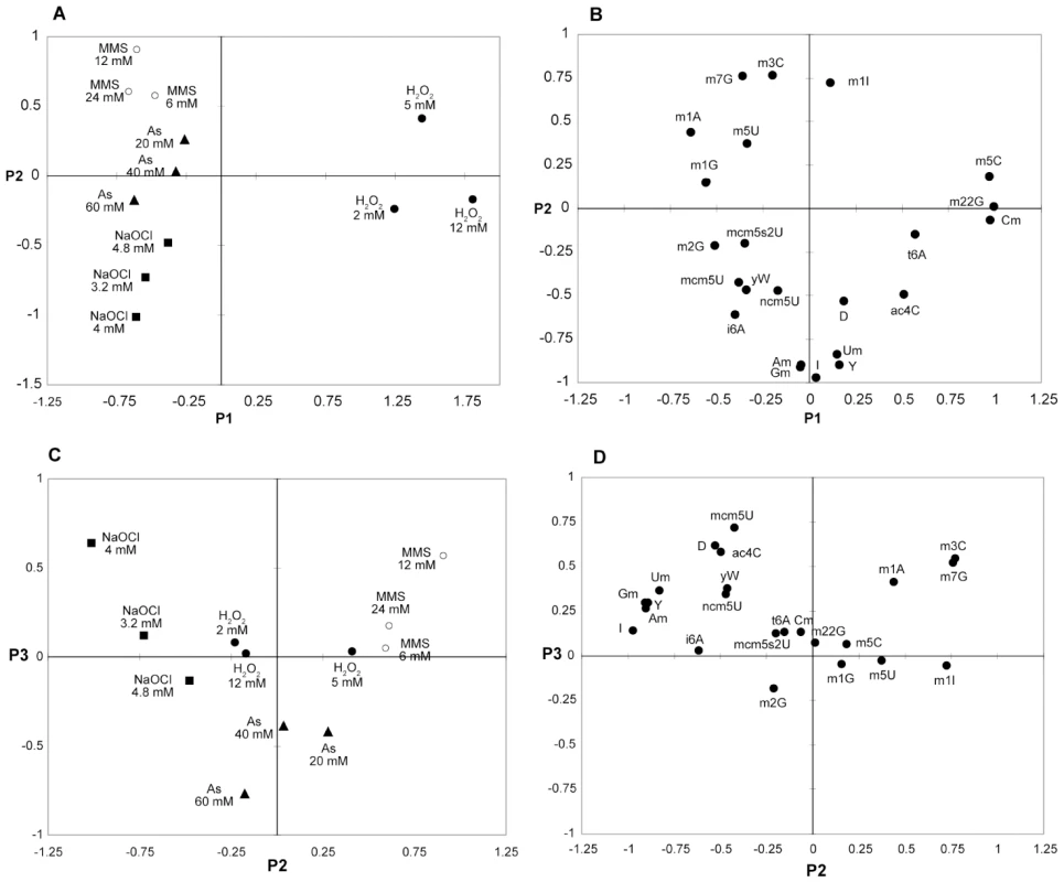 Principal component analysis (PCA) of changes in the levels of tRNA modifications caused by exposure to MMS, H<sub>2</sub>O<sub>2</sub>, NaOCl, and NaAsO<sub>2</sub>.