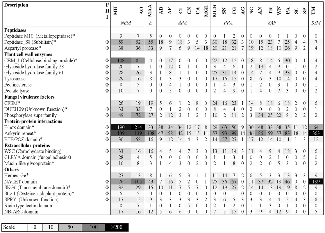 Expanded gene families in <i>M. haptotylum</i>.