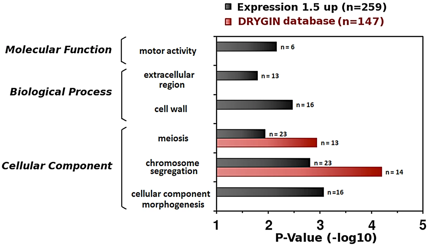 Gene expression profile and genetic interactions indicate roles for Fun30 in meiosis and chromosome segregation.