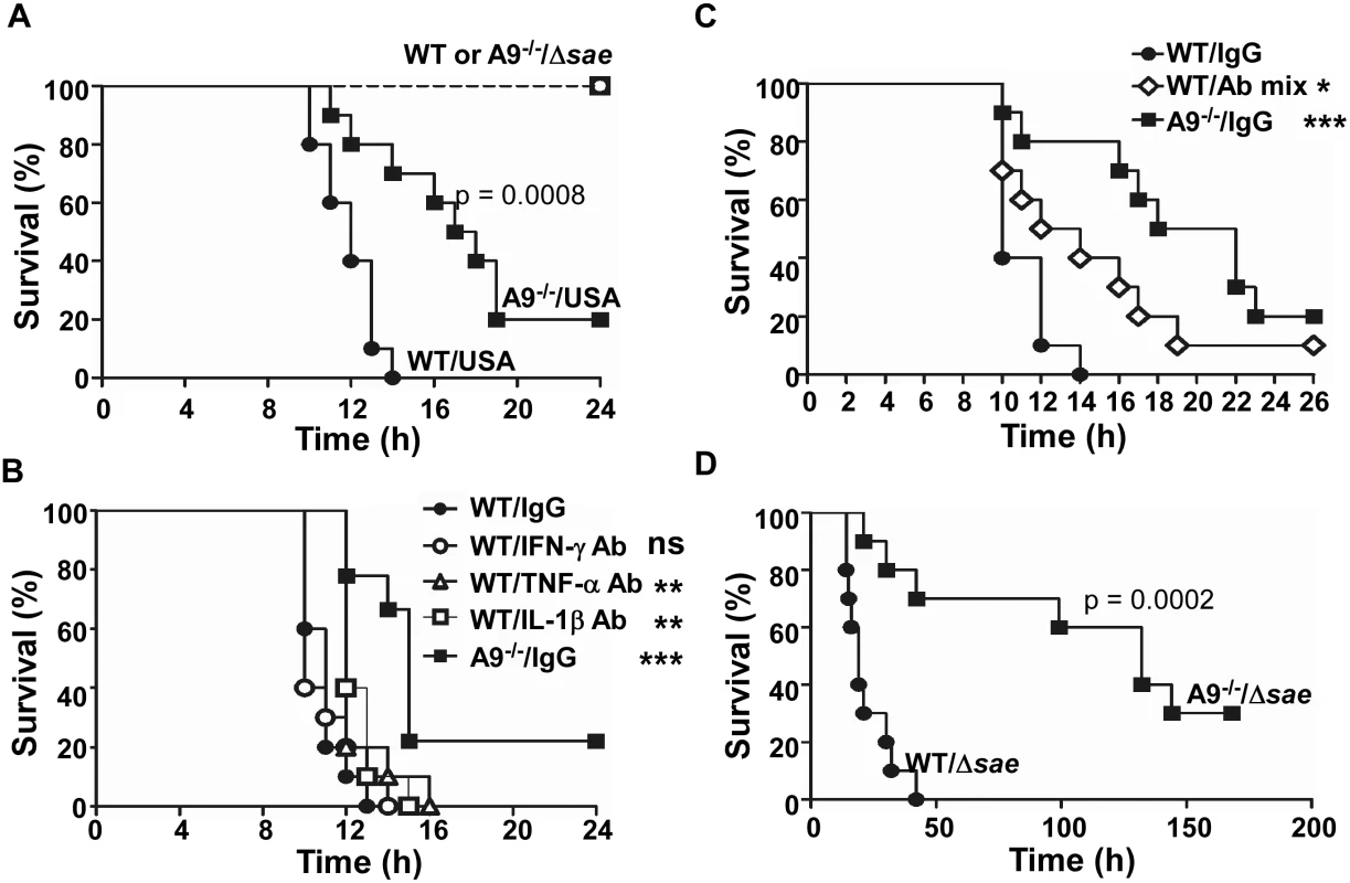 The proinflammatory property of CP increases murine mortality.