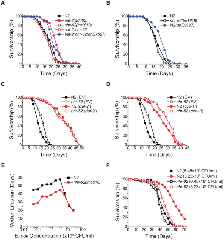 <i>nhr-62</i> specifically regulates DR-induced longevity.