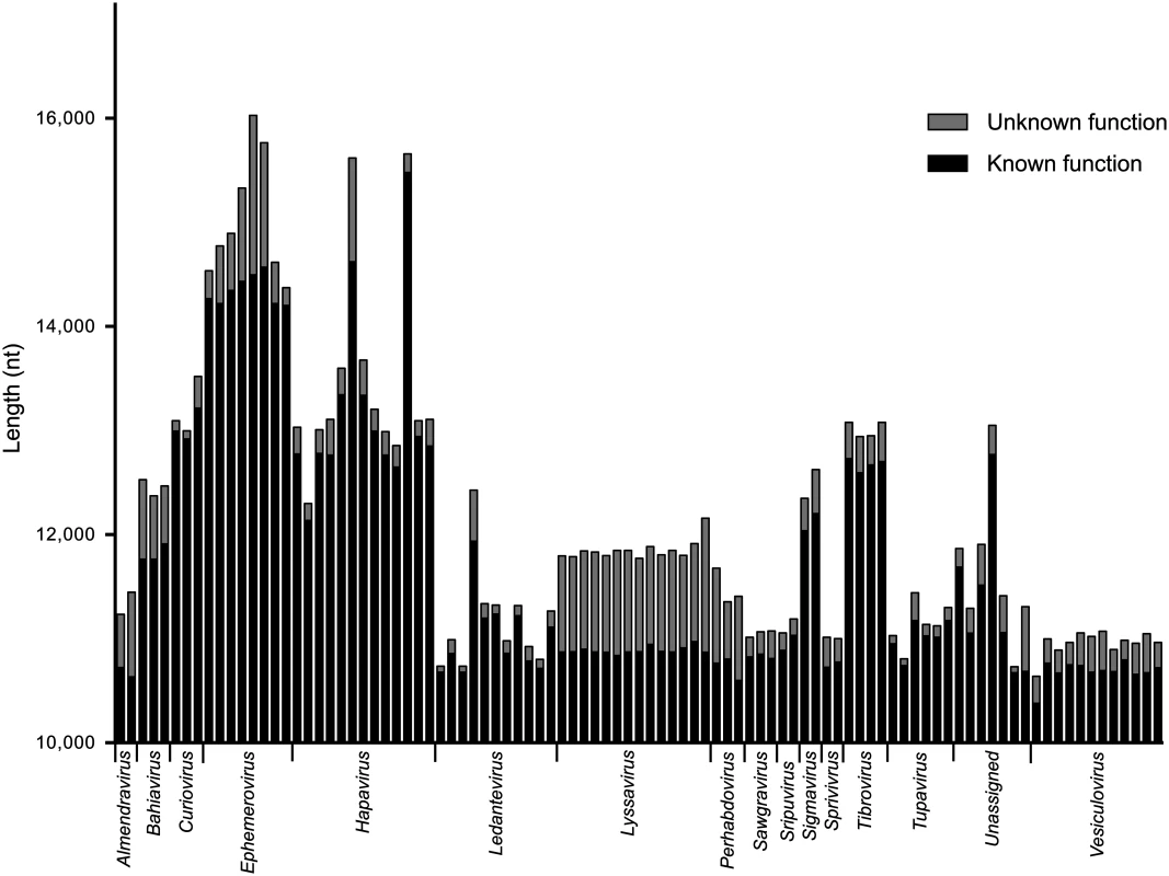 The relative length of sequences of known or predicted function and unknown function.