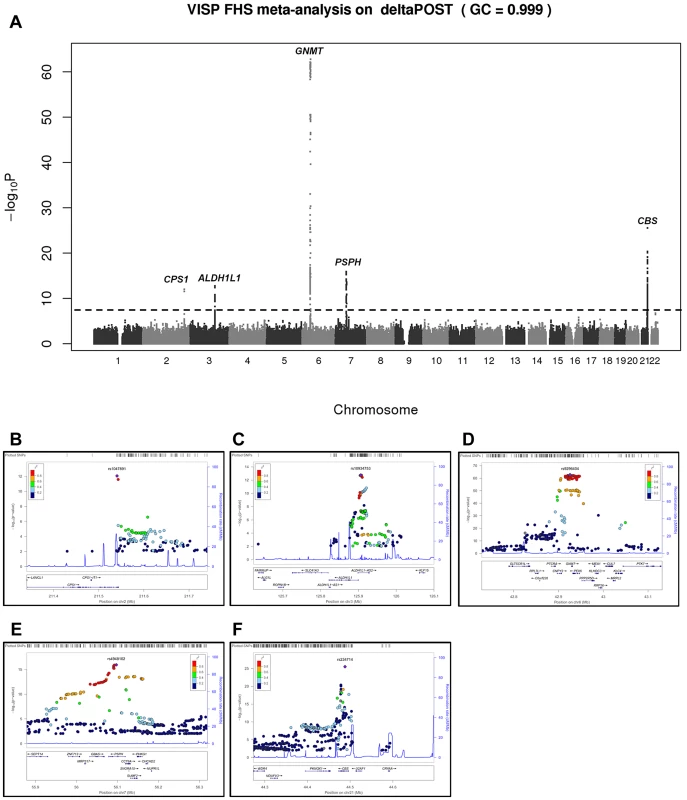 Meta-analysis and chromosome 2, 3, 6, 7 and 21 regional association of single nucleotide polymorphisms (SNPs) for ΔPOST in both VISP and FHS cohorts.