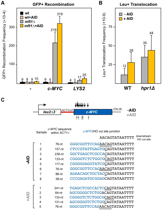 Analysis of recombinogenic potential of the <i>c-MYC</i> sequence.