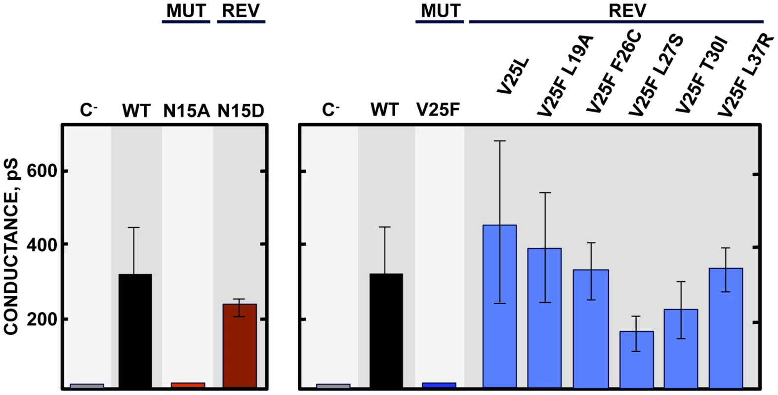 E protein IC activity of the rSARS-CoV-EIC<sup>−</sup> evolved variants.