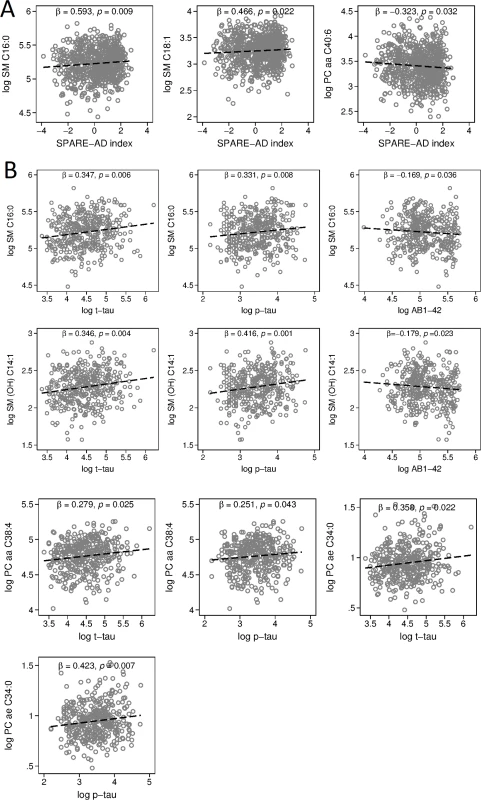 Associations between blood metabolite concentration and SPARE-AD index, CSF concentrations of Aβ<sub>1–42</sub>, t-tau, and p-tau.