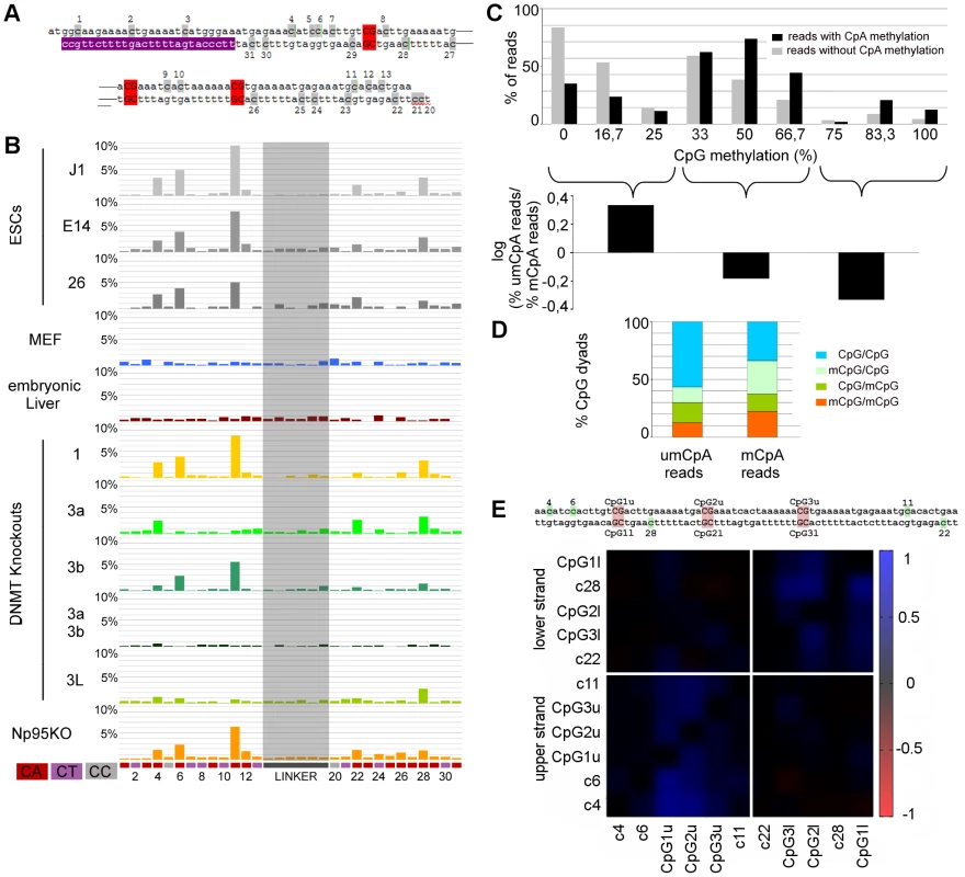 Non-CpG methylation of major satellites.