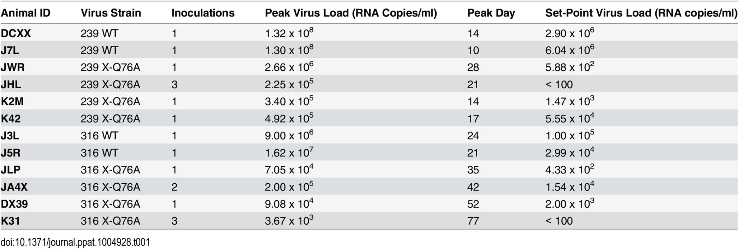 Infection of rhesus macaques with WT SIVmac and Q76A Vpx SIVmac mutants.