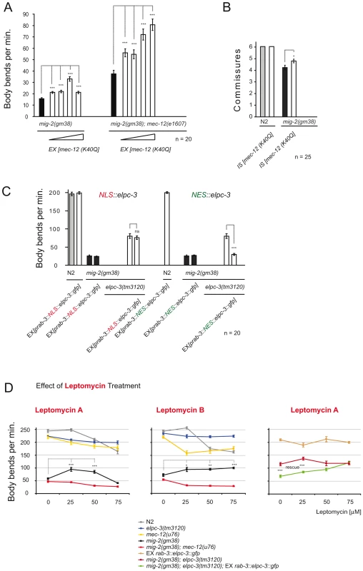 Effects of <i>mec-12</i>/<i>α-tubulin</i>[K40Q] and cytoplasmic requirement of ELPC-3.