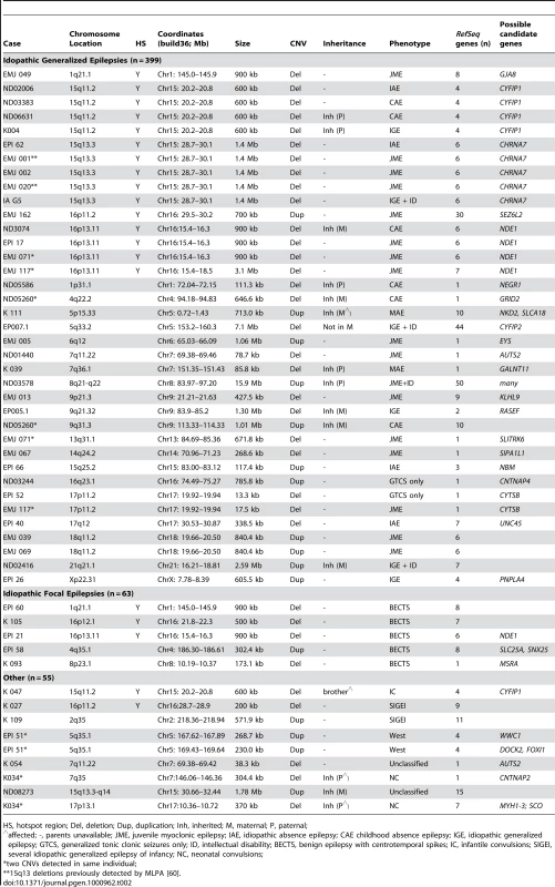 Rare copy number variants in 517 patients with epilepsy.