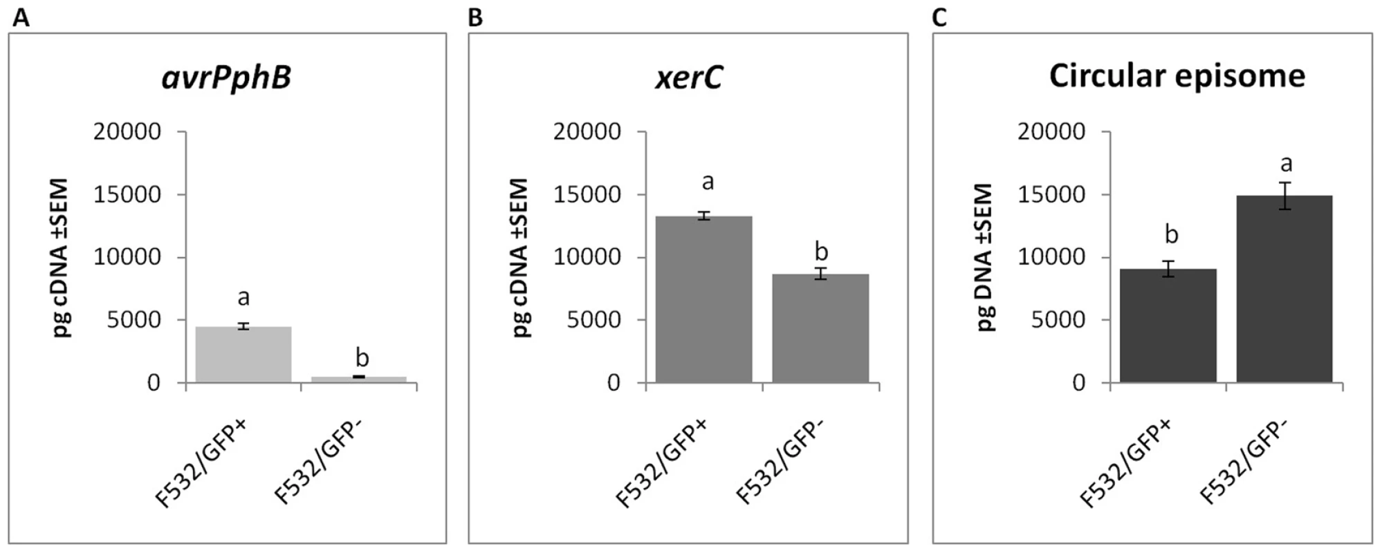 Gene expression and circular episome detection in sub-populations of <i>P. syringae</i> pv. <i>phaseolicola</i>.