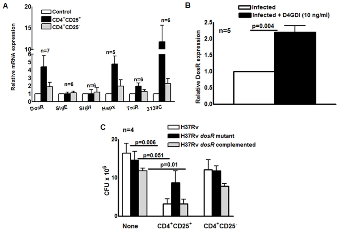 Effect of CD4<sup>+</sup>CD25<sup>+</sup>Foxp3<sup>+</sup>cells and D4GDI on <i>M. tb</i> expression of <i>dosR</i>.