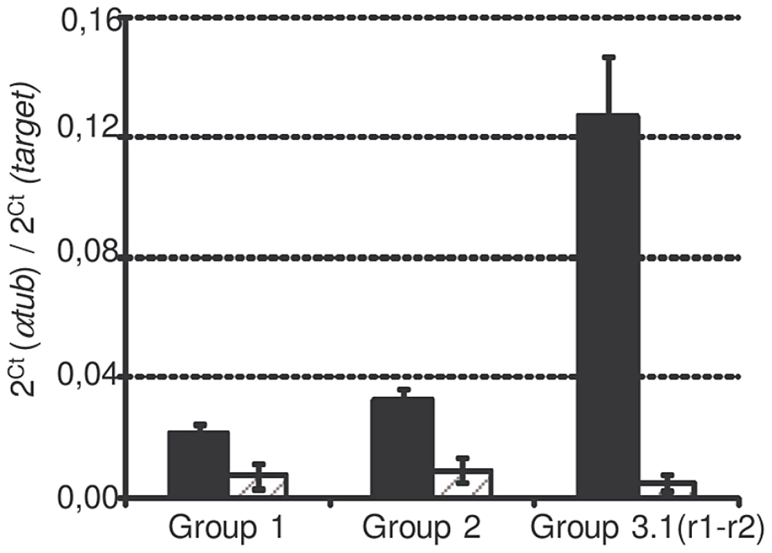 <i>Sm</i>PoMuc expression of each group in C and IC strains.