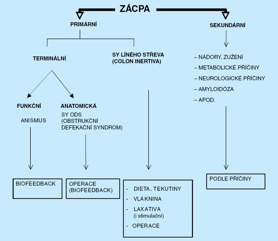 Klasifikace zácpy a principy léčby