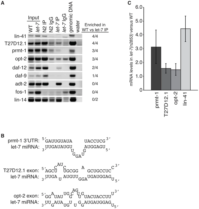 Argonaute associates with targets in a <i>let-7</i>–dependent manner.
