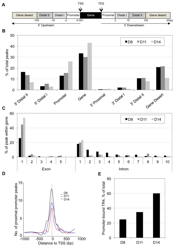 Genome-wide distribution of TR4 binding sites in differentiating human erythroid cells.