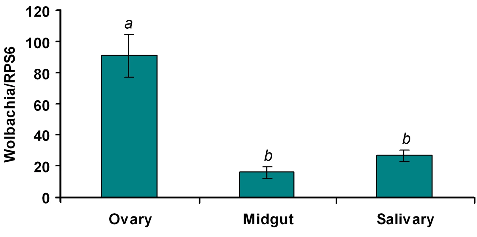 <i>Wolbachia</i> density in the ovaries, midguts and salivary glands of WB1 mosquitoes.