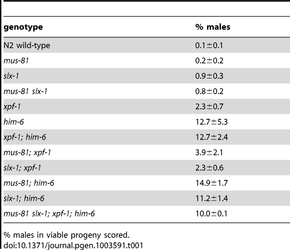 him phenotype of various strains.